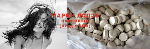 ПСИЛОЦИБИНОВЫЕ ГРИБЫ Нея