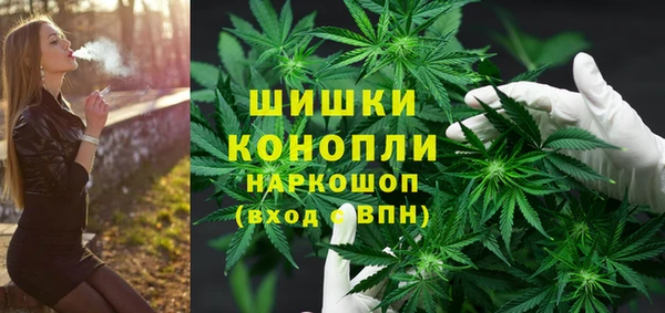 ПСИЛОЦИБИНОВЫЕ ГРИБЫ Нея
