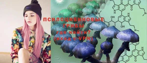 ПСИЛОЦИБИНОВЫЕ ГРИБЫ Нея