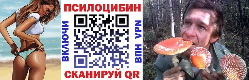 Псилоцибиновые грибы Magic Shrooms  Купить закладки  Апатиты 